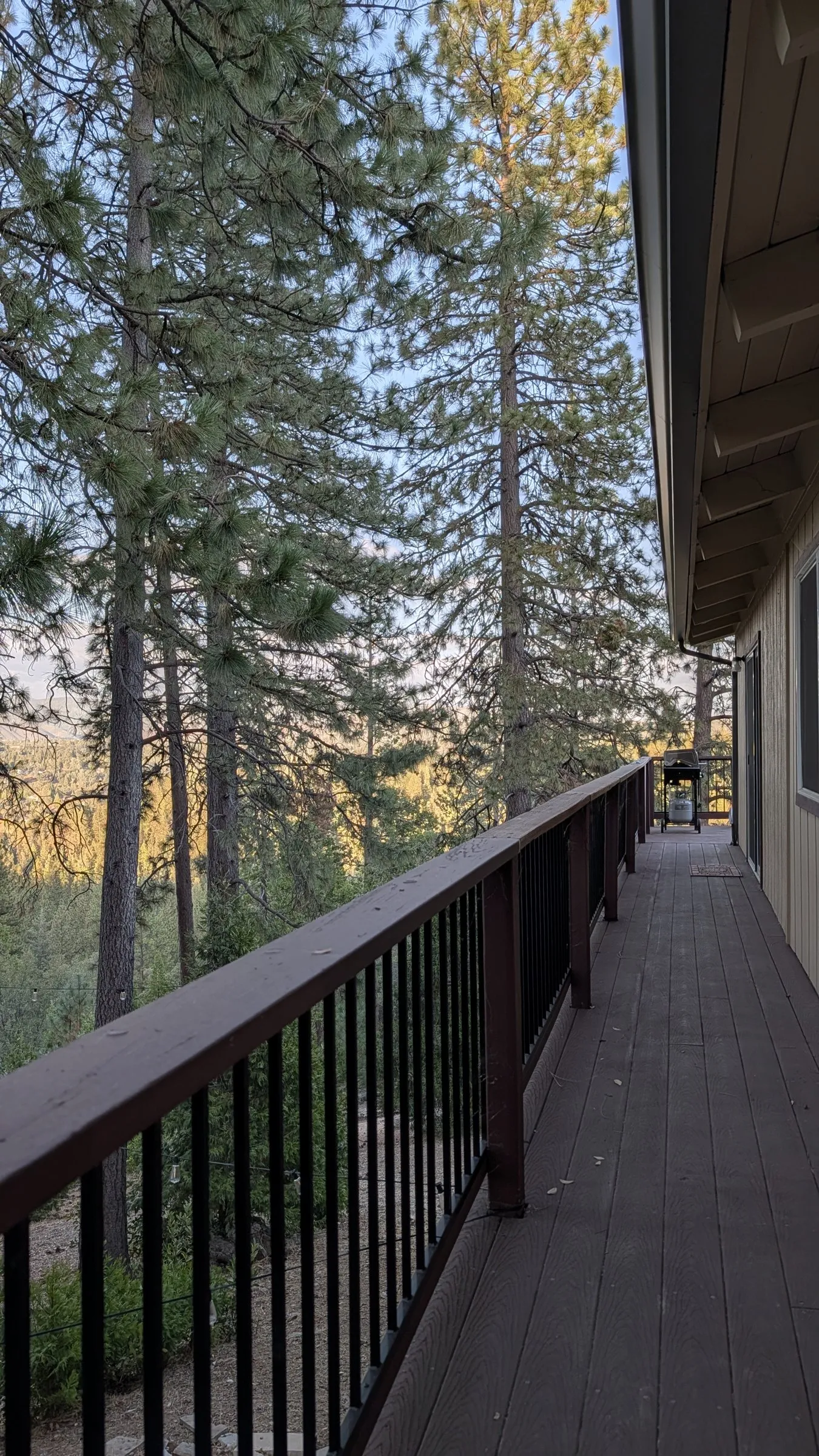 The deck walkway running along the house into the trees