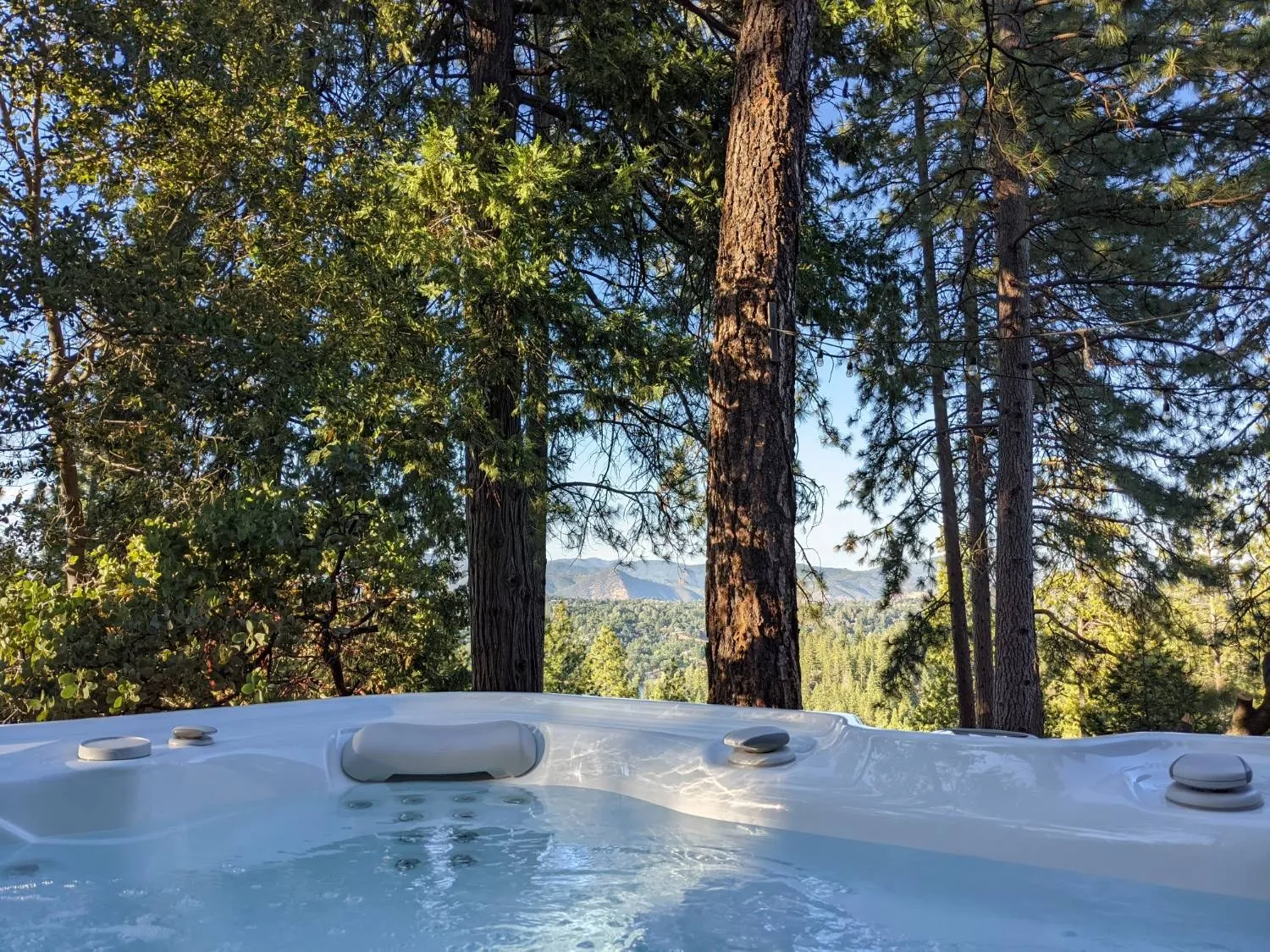 View from the hot tub through tall pines to the mountains