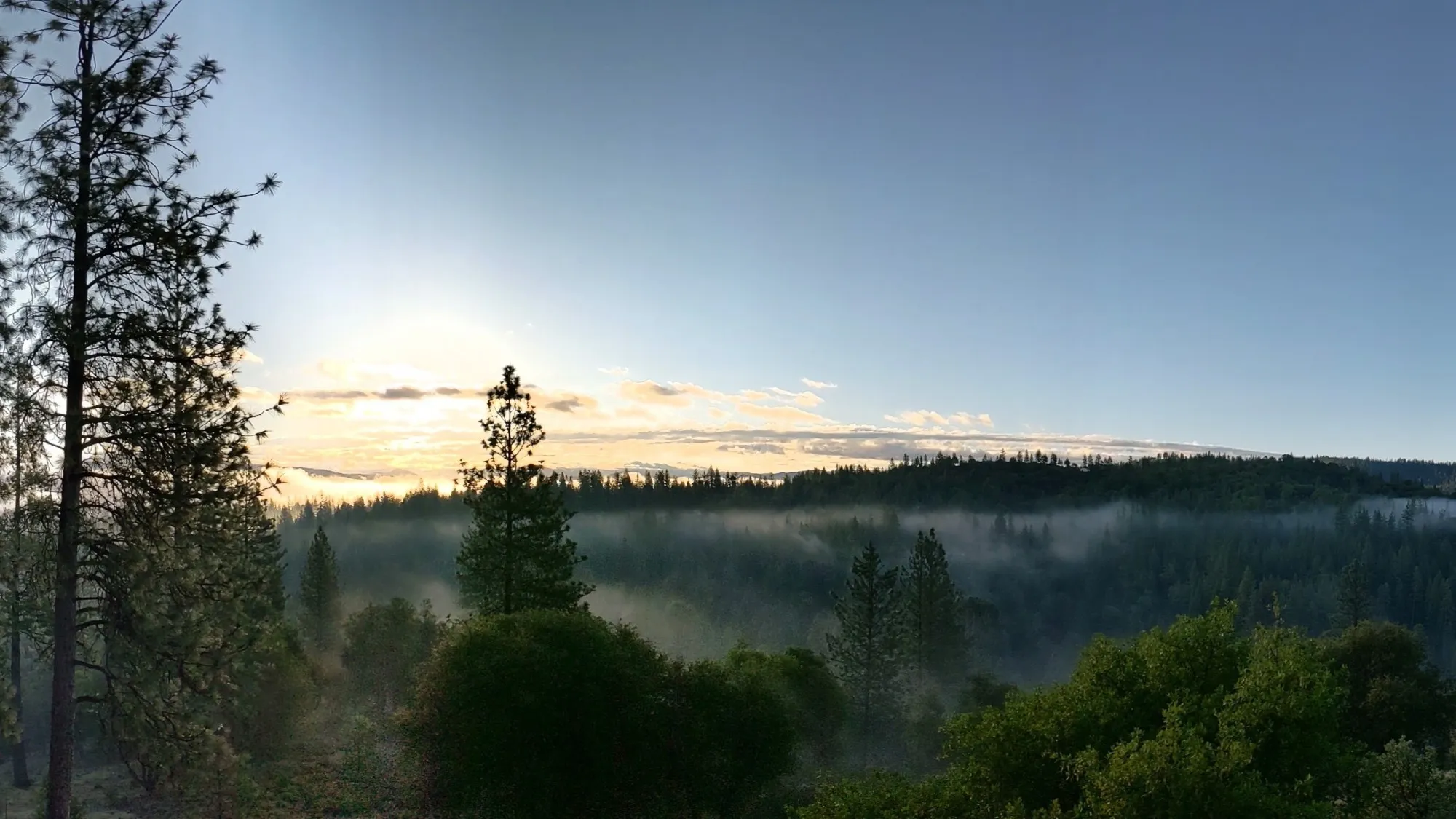 Morning mist drifting through the forested valley below the house
