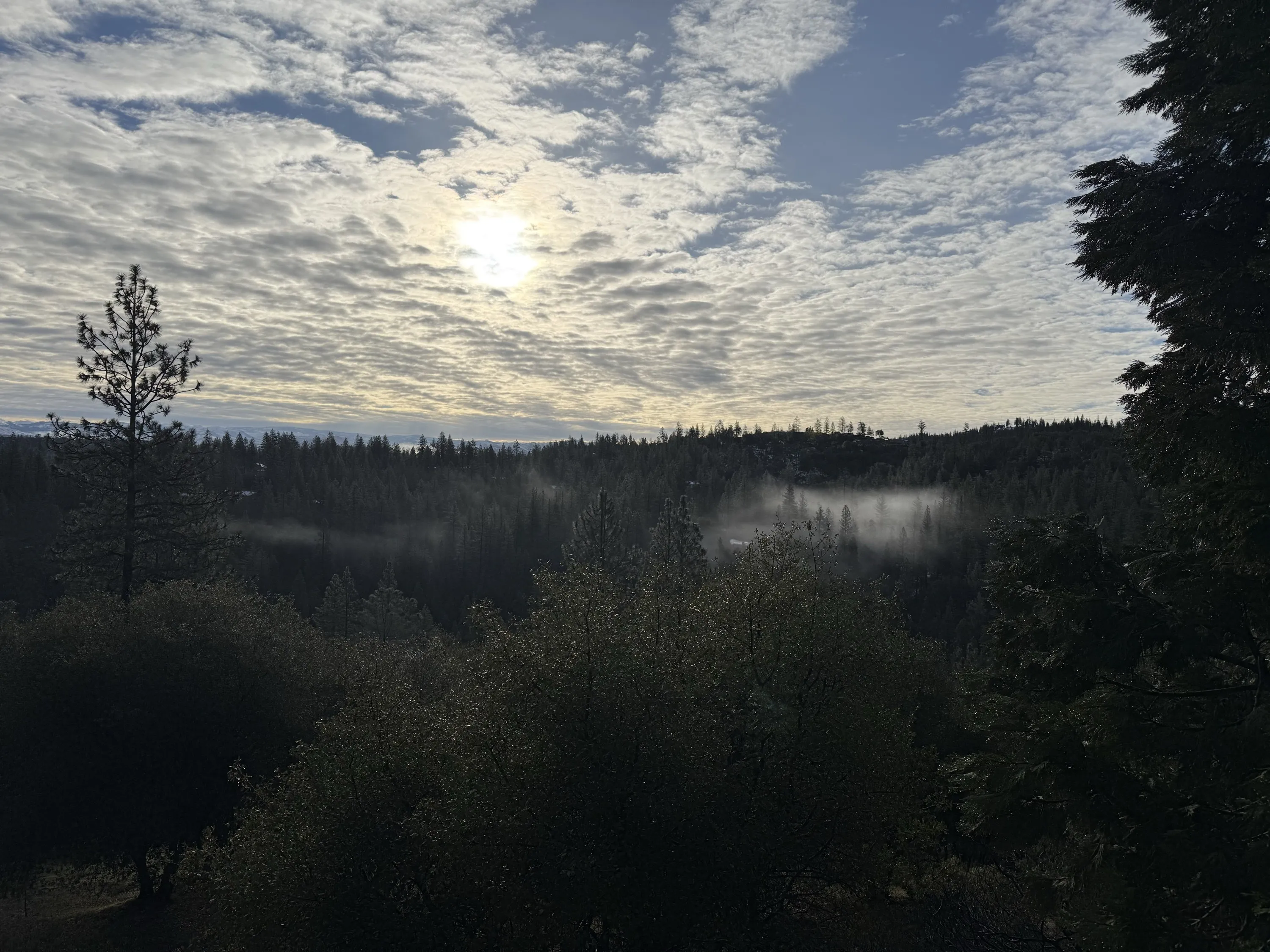 Morning clouds