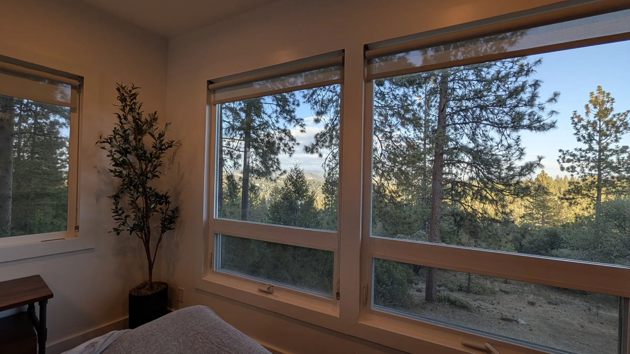 Queen room’s wall of windows looking into the forest