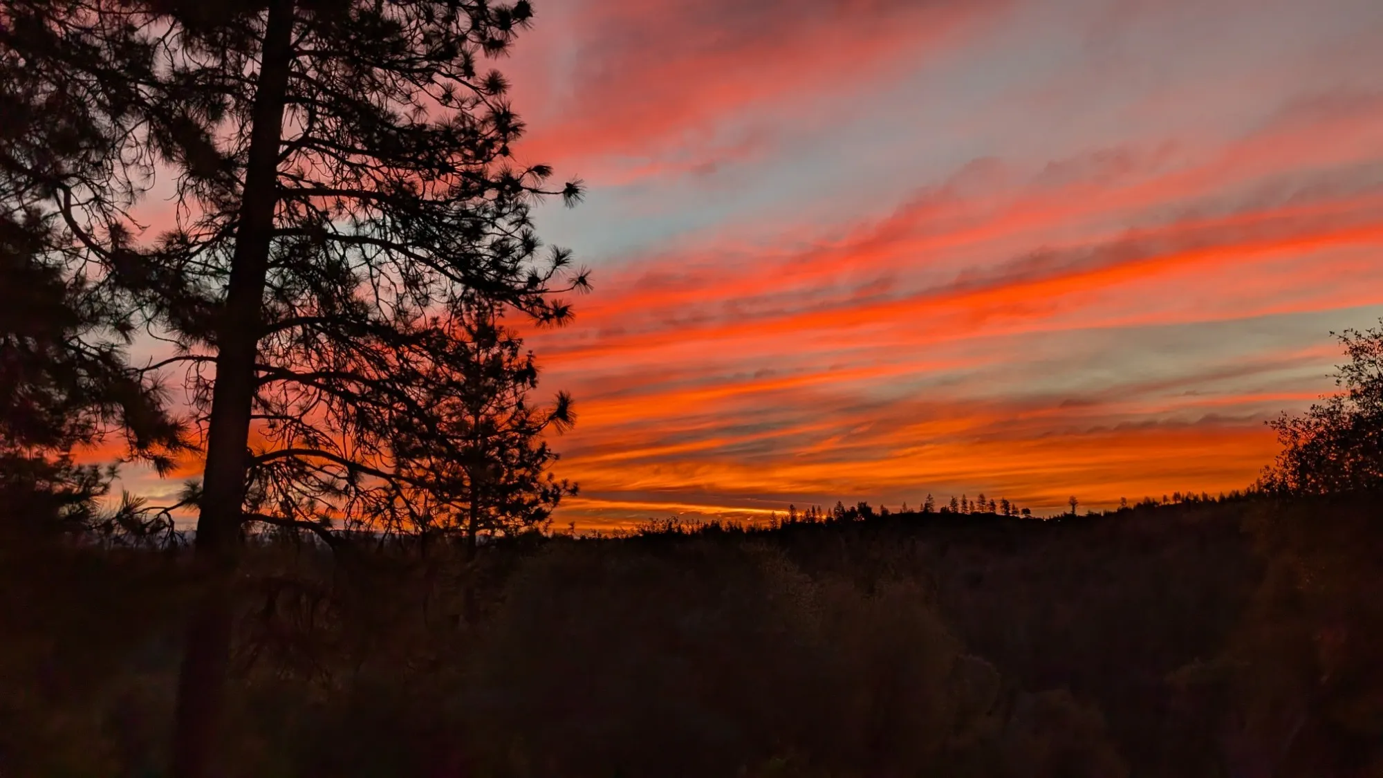Red sky